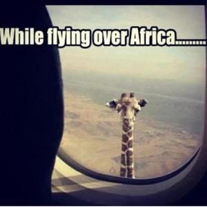 Meet your Posher, Charlie